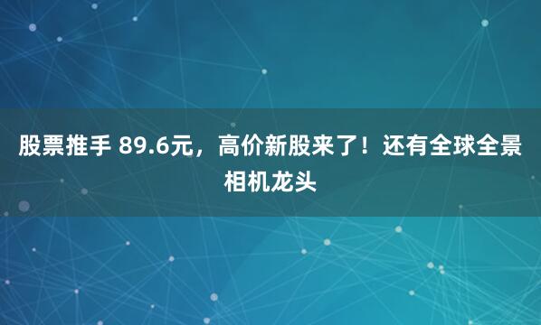 股票推手 89.6元，高价新股来了！还有全球全景相机龙头