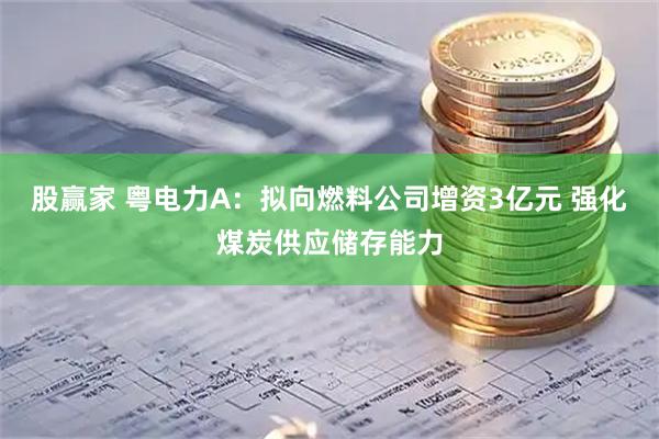 股赢家 粤电力A:拟向燃料公司增资3亿元 强化煤炭供应储存能力