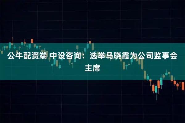 公牛配资端 中设咨询：选举马晓霞为公司监事会主席