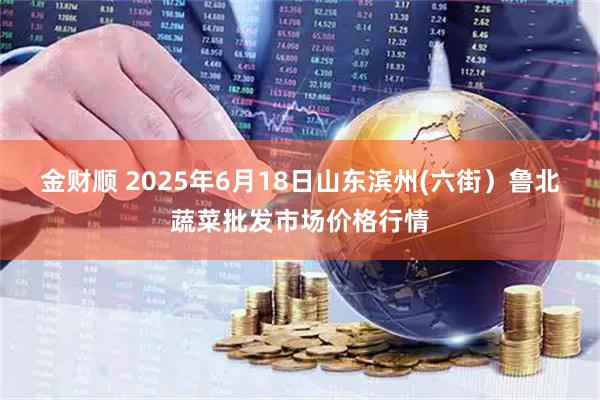 金财顺 2025年6月18日山东滨州(六街）鲁北蔬菜批发市场价格行情