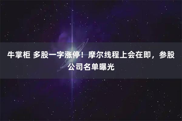 牛掌柜 多股一字涨停！摩尔线程上会在即，参股公司名单曝光