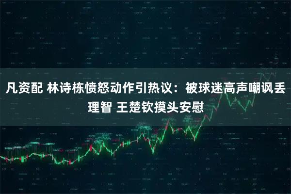 凡资配 林诗栋愤怒动作引热议：被球迷高声嘲讽丢理智 王楚钦摸头安慰