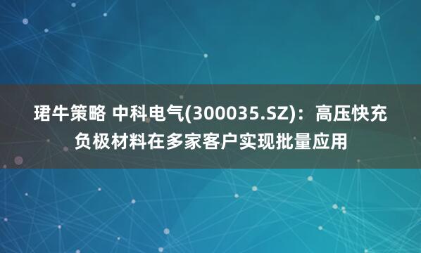 珺牛策略 中科电气(300035.SZ)：高压快充负极材料在多家客户实现批量应用