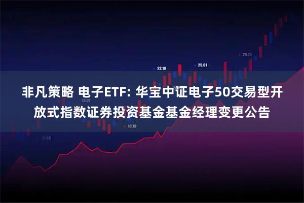 非凡策略 电子ETF: 华宝中证电子50交易型开放式指数证券投资基金基金经理变更公告