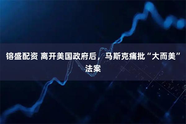 镕盛配资 离开美国政府后，马斯克痛批“大而美”法案