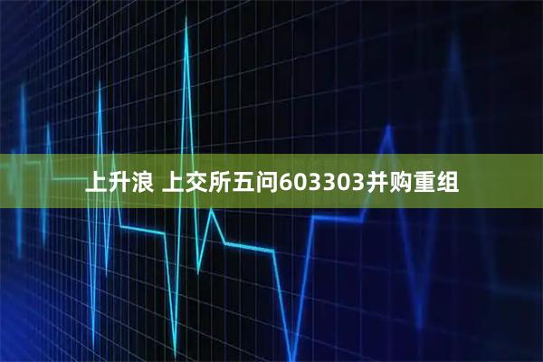 上升浪 上交所五问603303并购重组